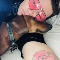 Sitter Profile Image: Gina A.