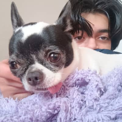 Sitter Profile Image: juan camilo B.