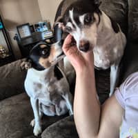 Sitter Profile Image: Alejandra M.