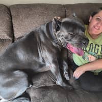 Sitter Profile Image: Alejandra M.