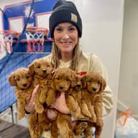 Sitter Profile Image: Jodi L.