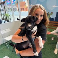 Sitter Profile Image: Katelyn G.