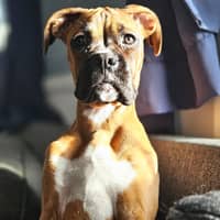 Sitter Profile Image: Erin B.