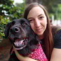 Sitter Profile Image: Sarah B.