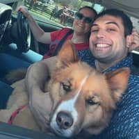 Sitter Profile Image: Nicholas G.