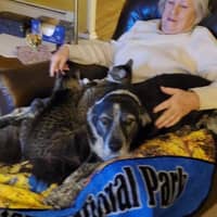 Sitter Profile Image: Norma K.