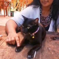 Sitter Profile Image: Frida W.