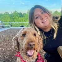 Sitter Profile Image: Brianne C.