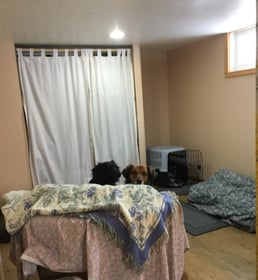 Image 0