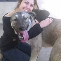 Sitter Profile Image: Linda G.