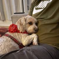 Sitter Profile Image: Chantelle Elizabeth L.