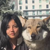 Sitter Profile Image: Tiancai G.