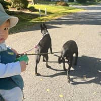 Sitter Profile Image: Kenia I.