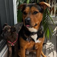 Sitter Profile Image: Luis R.