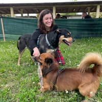 Immagine del profilo del sitter: Barbara F.