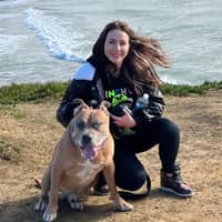 Sitter Profile Image: Diana D.