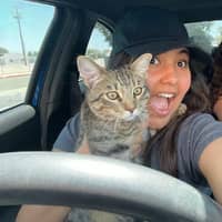 Sitter Profile Image: Alexia S.