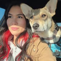 Sitter Profile Image: Melissa W.