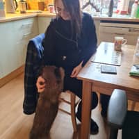 Sitter Profile Image: Gabrielle N.