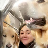 Sitter Profile Image: Francesca C.