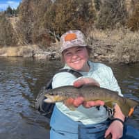 Sitter Profile Image: Caroline J.