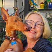 Sitter Profile Image: Melissa K.