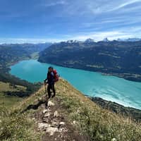 Sitterprofilbild: Bella G.