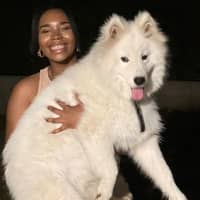 Photo de profil du pet sitter : Vanessa M.
