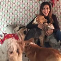 Sitter Profile Image: Daniela B.