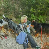 Photo de profil du pet sitter : elisa M.