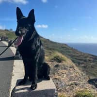 Sitter Profile Image: Natalia P.