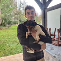 Photo de profil du pet sitter : Ilan H.