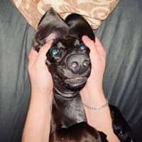 Sitterprofilbild: Alina R.