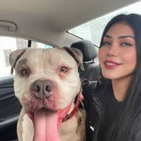 Sitter Profile Image: Curtis M.