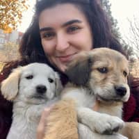 Passarens profilbild: Buse A.