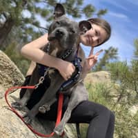 Sitter Profile Image: Alana V.