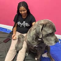 Sitter Profile Image: Tamia S.