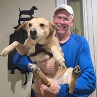 Sitter Profile Image: willis d.