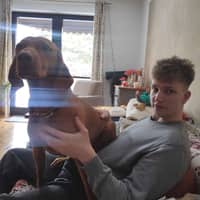 Sitterprofilbild: Pepe H.