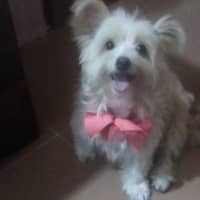 Foto del cuidador: Suanyer G.