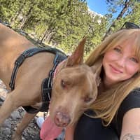 Sitter Profile Image: abby L.