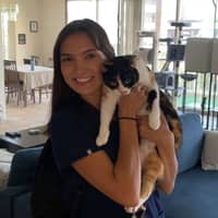 Sitter Profile Image: Abbe U.