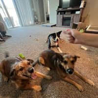 Sitter Profile Image: Kathleen O.