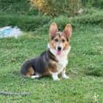 Sitter Profile Image: janny l.