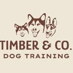 Sitter Profile Image: Kyra C.