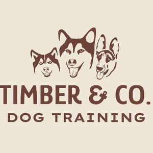 Sitter Profile Image: Kyra C.