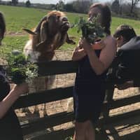 Sitter Profile Image: Carol D.