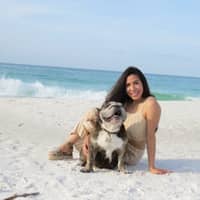 Sitter Profile Image: Priscilla Q.