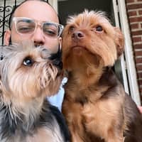 Sitter Profile Image: Julio M.