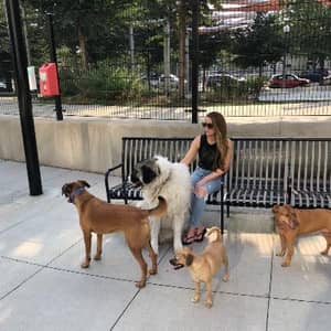 Sitter Profile Image: Katie T.